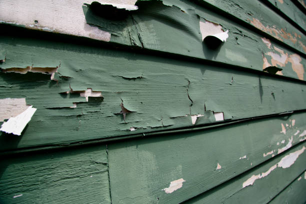 Best Shed Removal  in Merrick, NY
